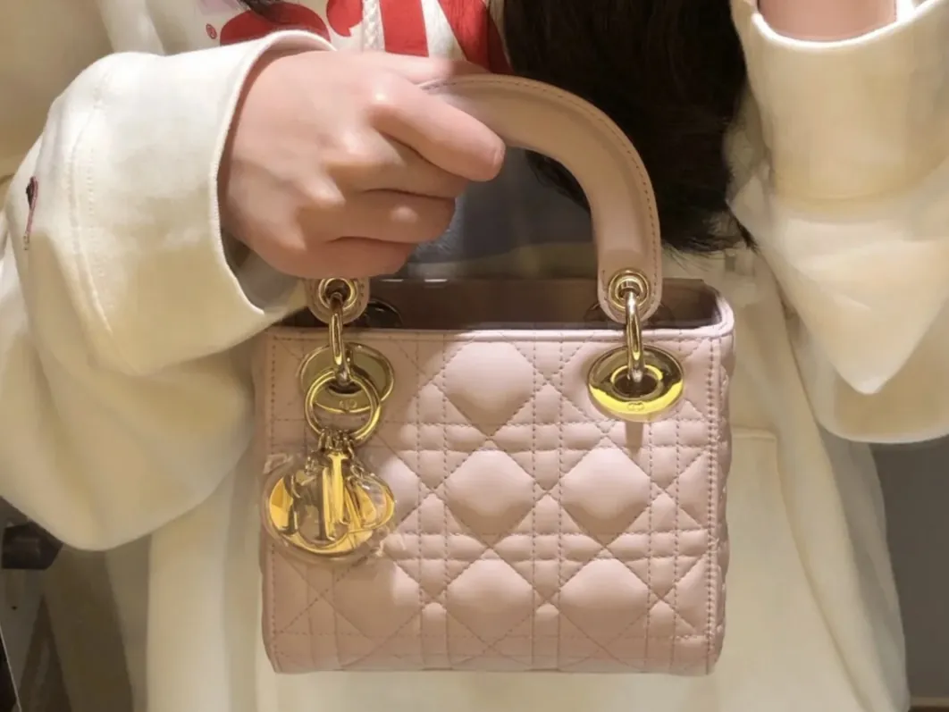 디올 미니 레이디 디올 - 이미지 11